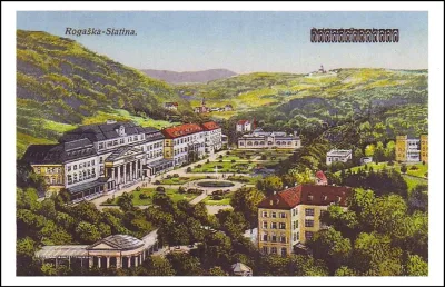 RAZSTAVA 350 LET ROGAŠKE SLATINE 1665 - 2015